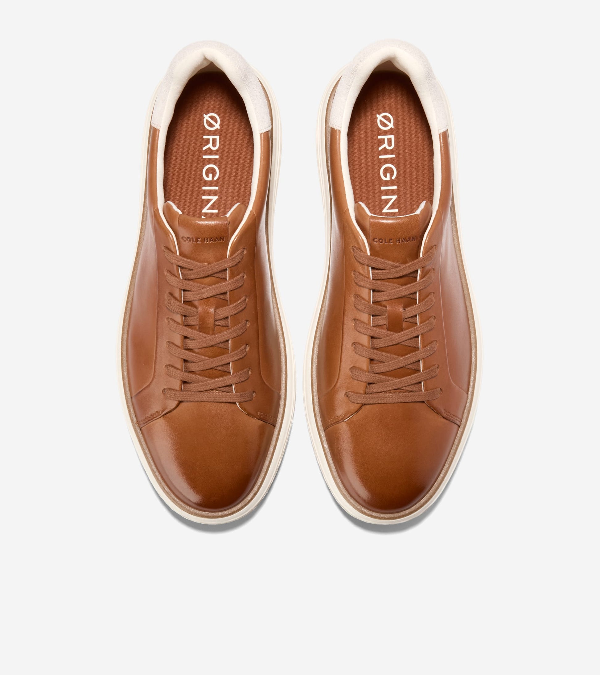 C42302:CH BRITISH TAN / CH DK CHOCOLATE / IVORY