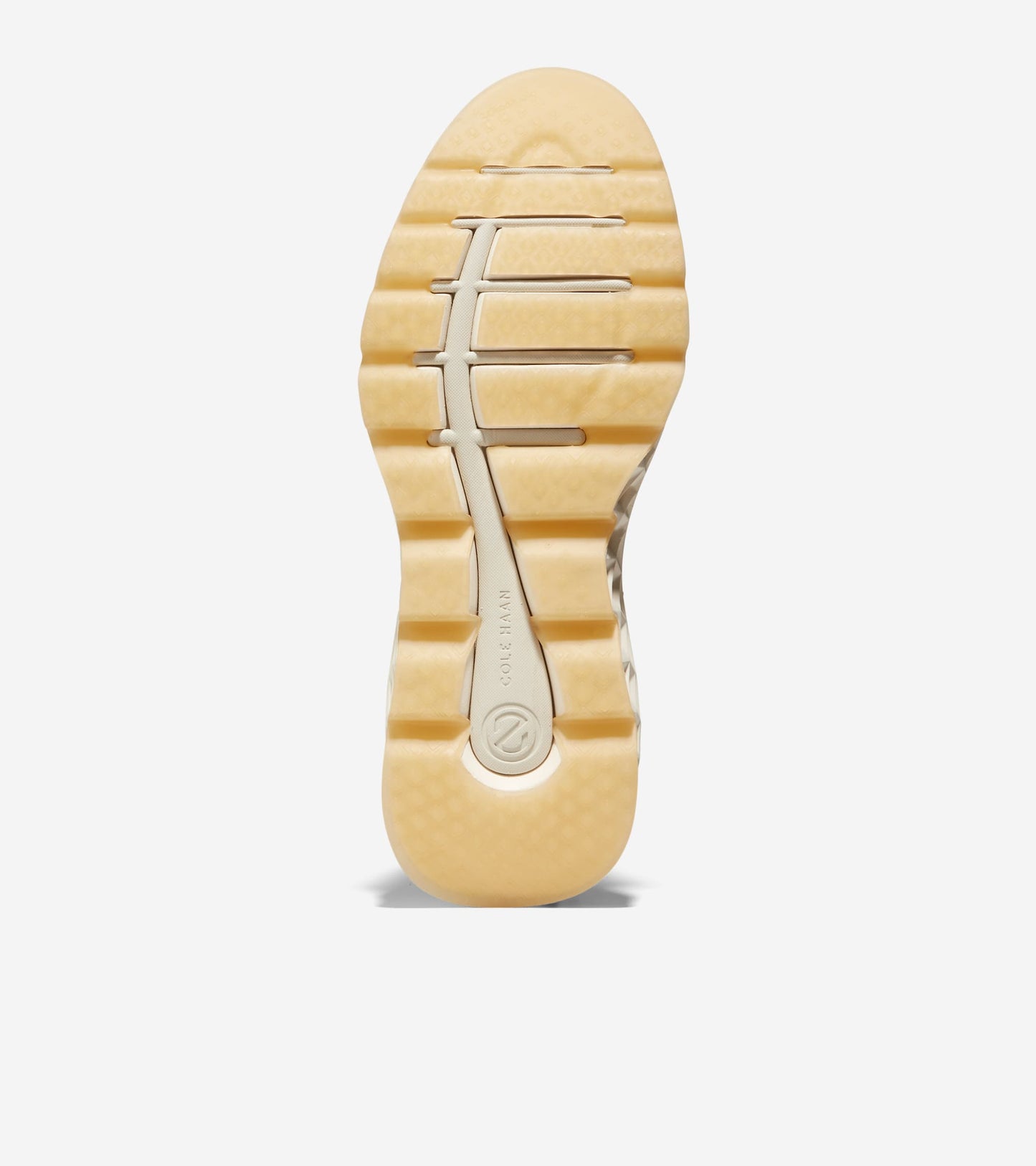 C37573:CH MOREL/SCARAB/IVORY WR