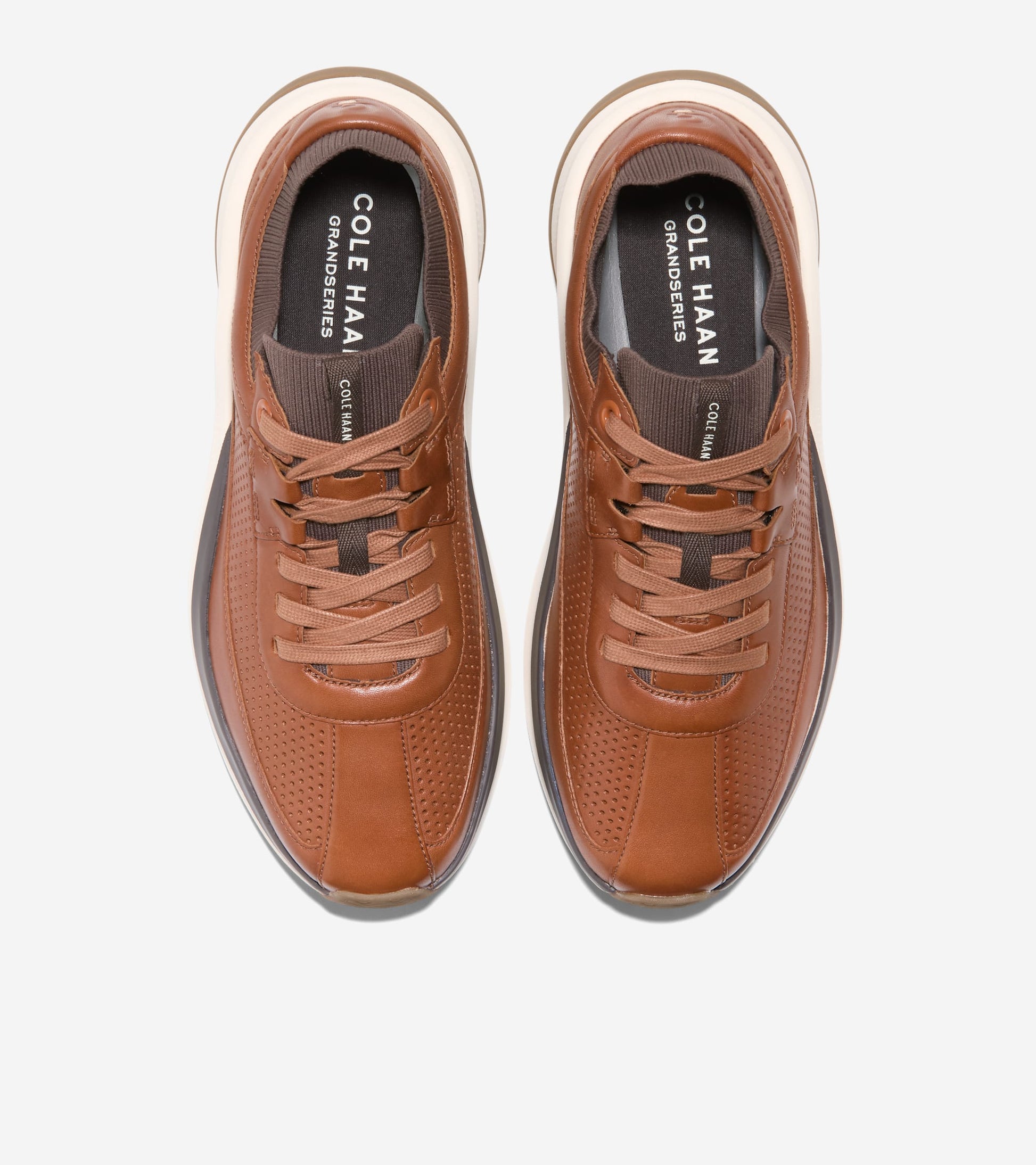 C42332:CH BRITISH TAN / CH DK CHOCOLATE / IVORY