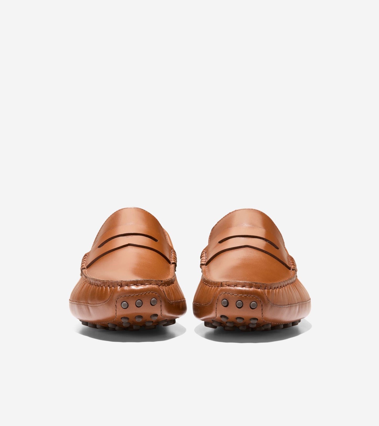 C41727:CH BRITISH TAN /CH JAVA