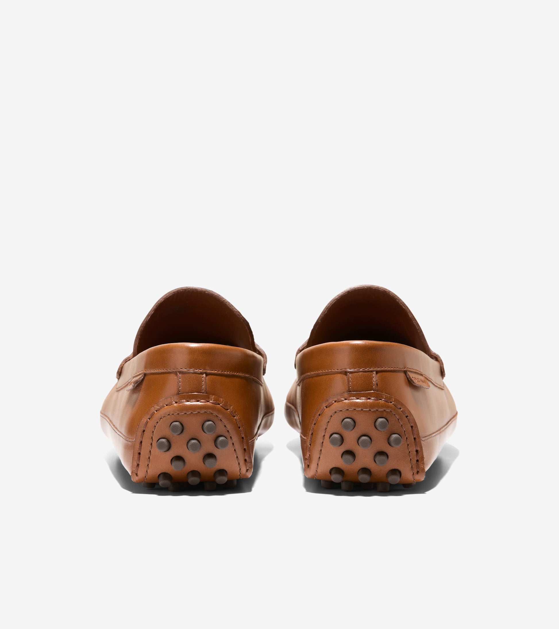 C41727:CH BRITISH TAN /CH JAVA