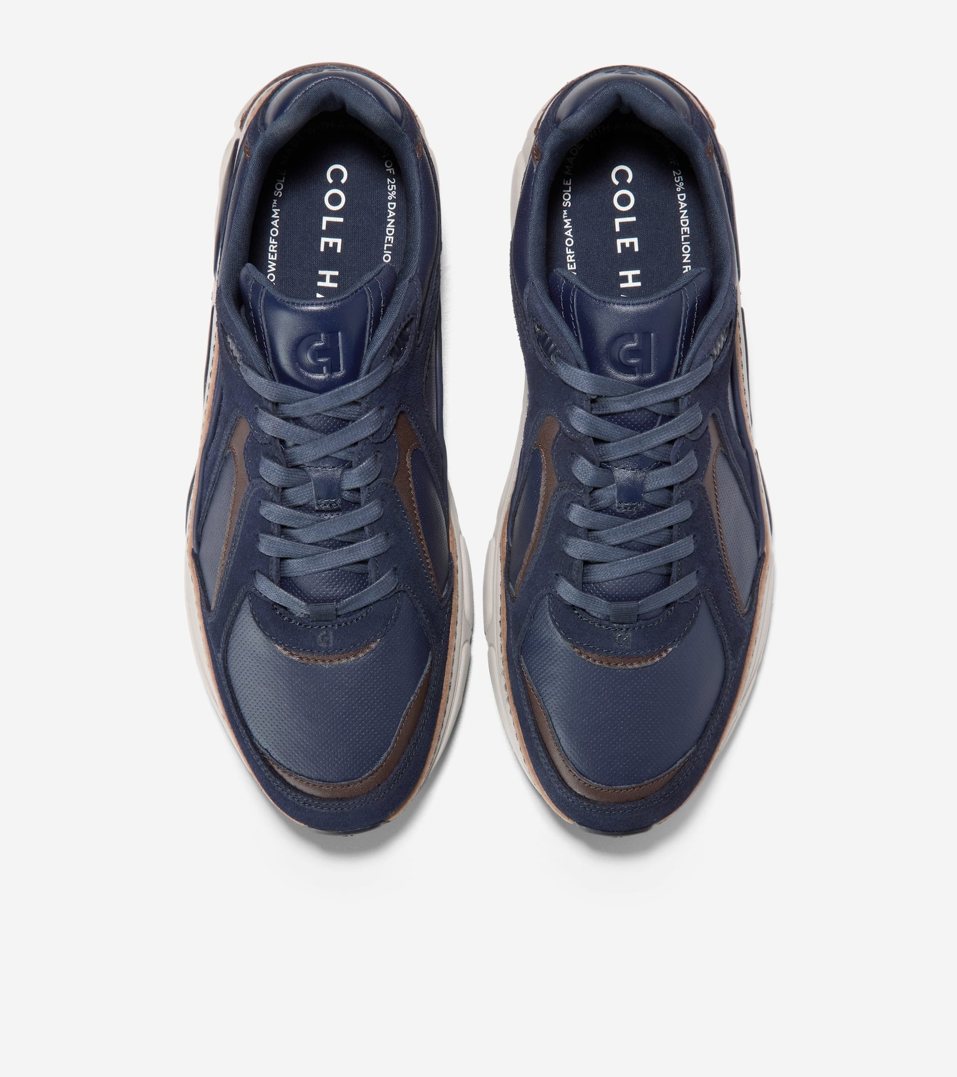 C41213:CH MIDNIGHT MOON / CH MADEIRA / DOVE