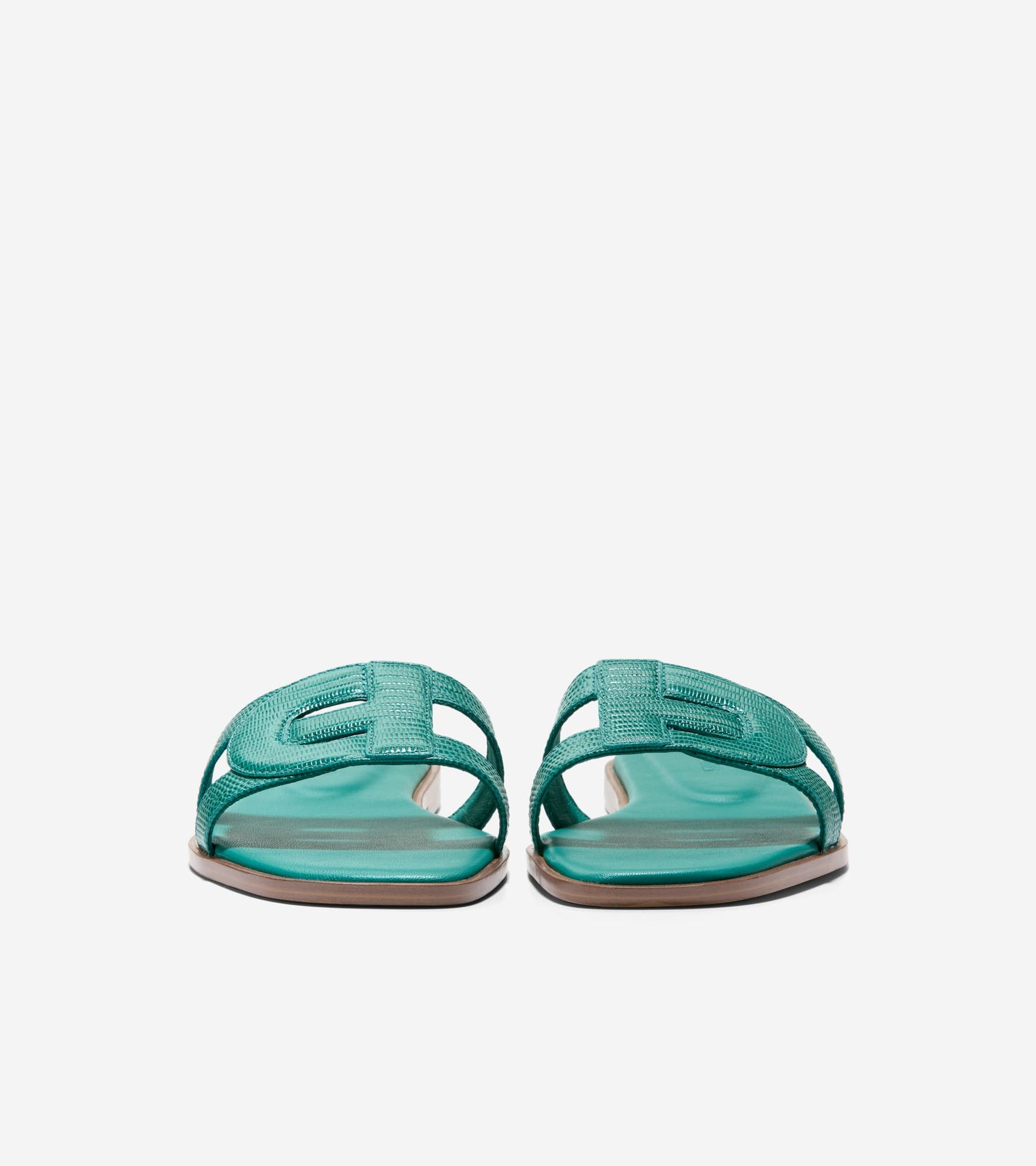 Жіночі шльопанці Cole Haan Chrisee Slide Sandal