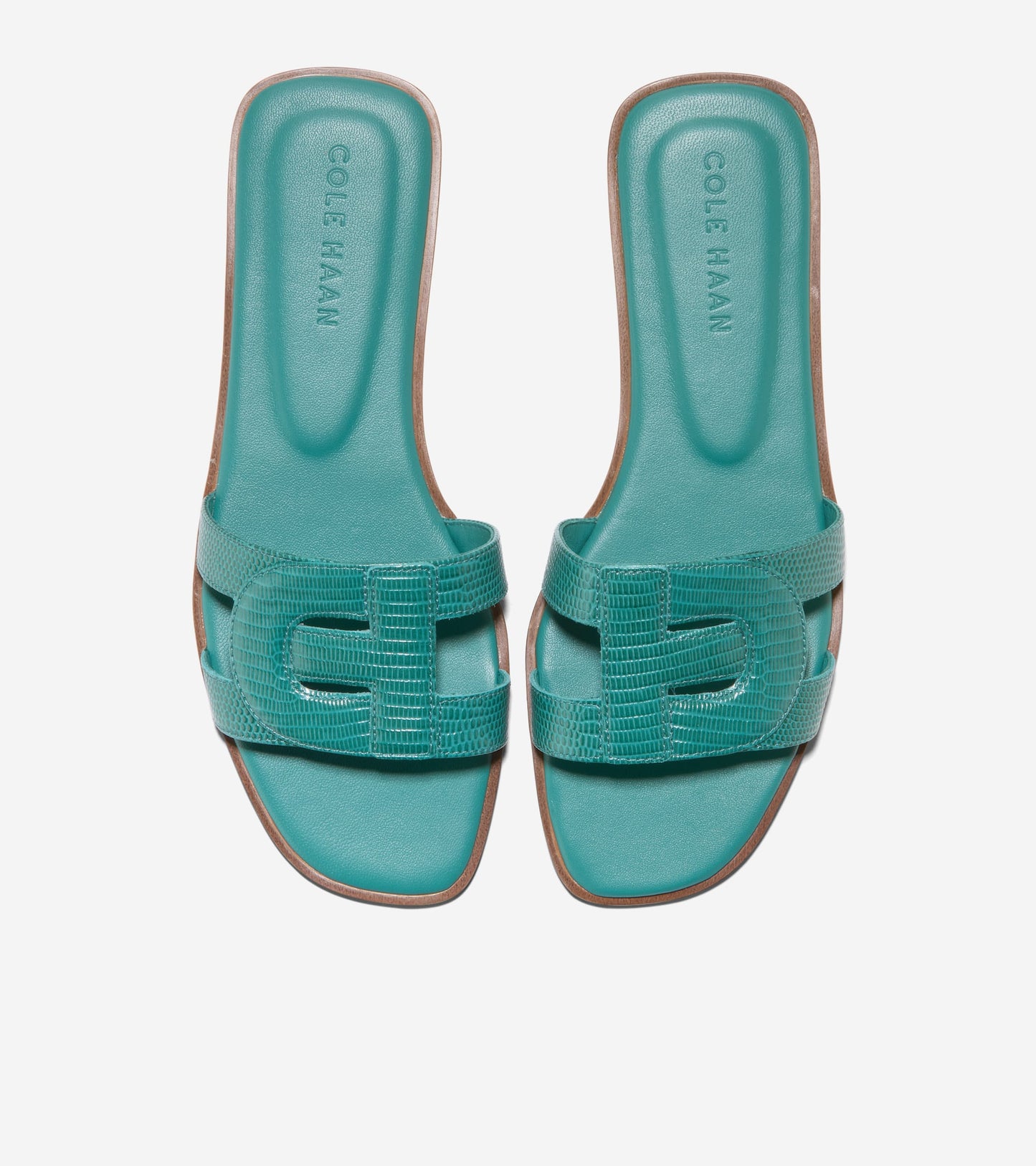 Жіночі шльопанці Cole Haan Chrisee Slide Sandal